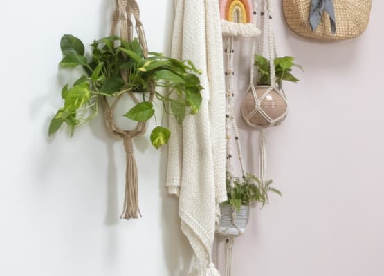 best plants for hanging planter