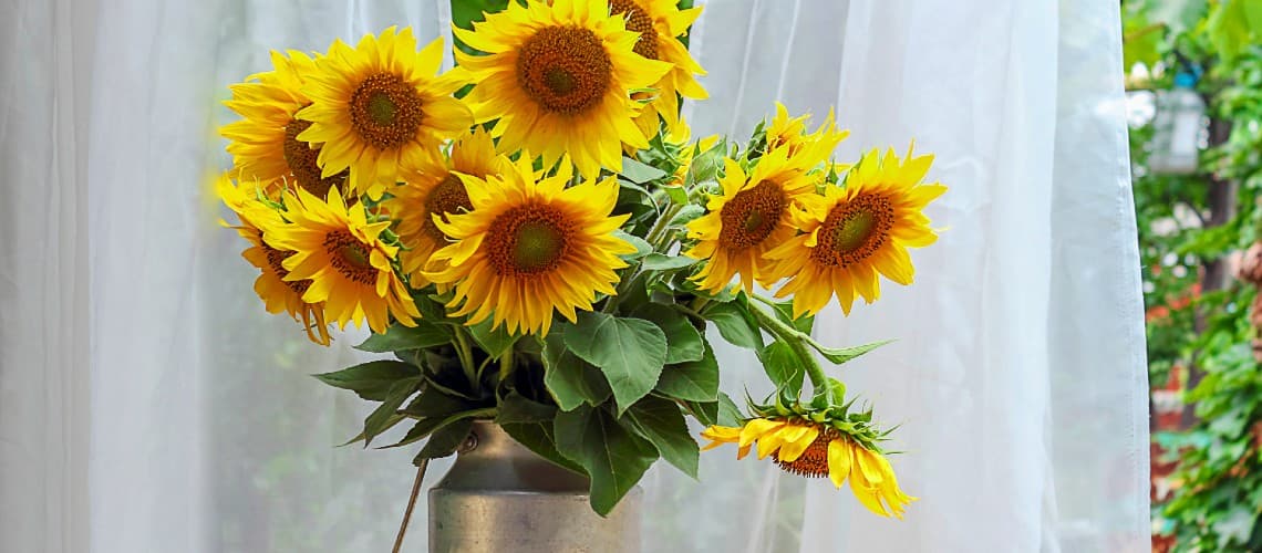 how to arrange sunflowers hero