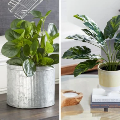best pots for indoor plant square