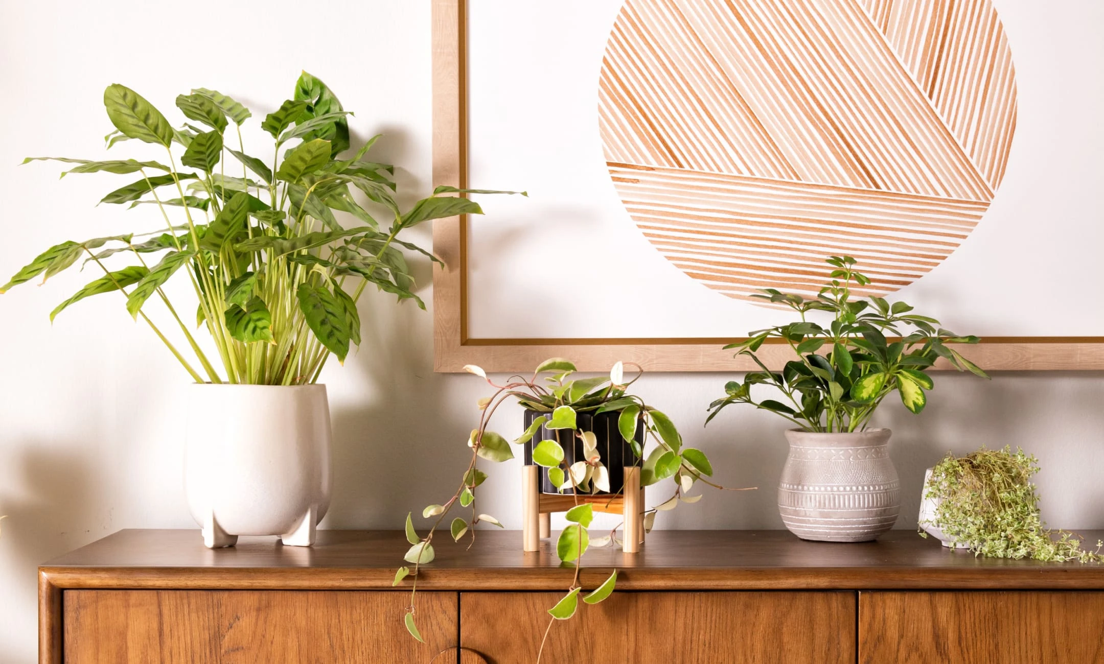 Planters on top of sideboard