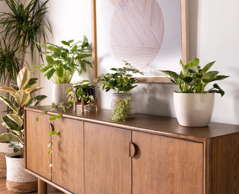 Sideboard with planters on top