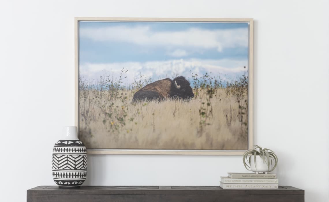 wall art buffalo for living room idea