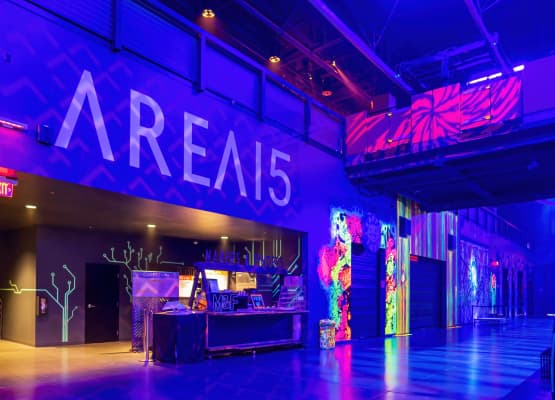 area 15 entertainment center