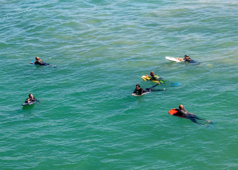 surfing scuba paddleboarding rentals