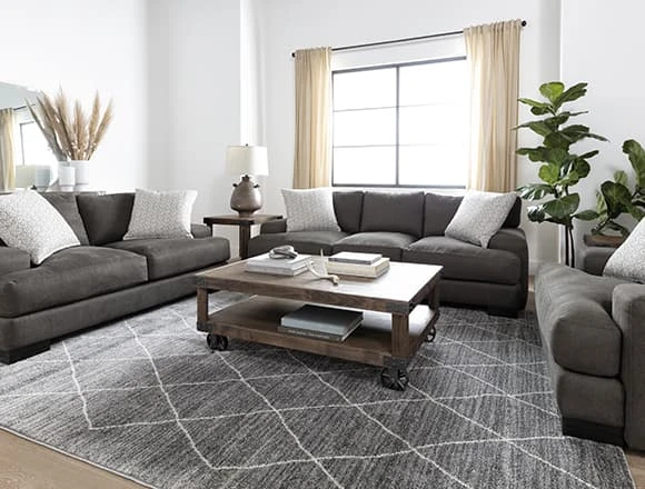 Grey Living Room with Aidan III Sofa