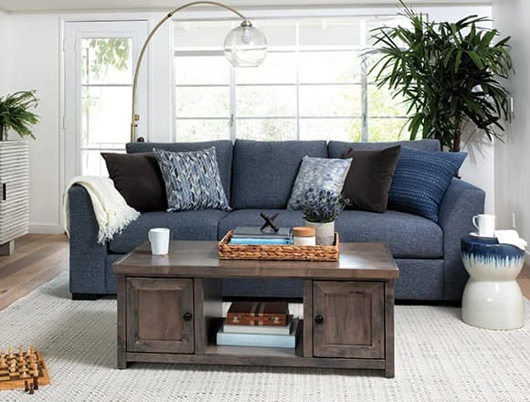 Coastal Living Room with Cohen Down 2 Piece Sectional