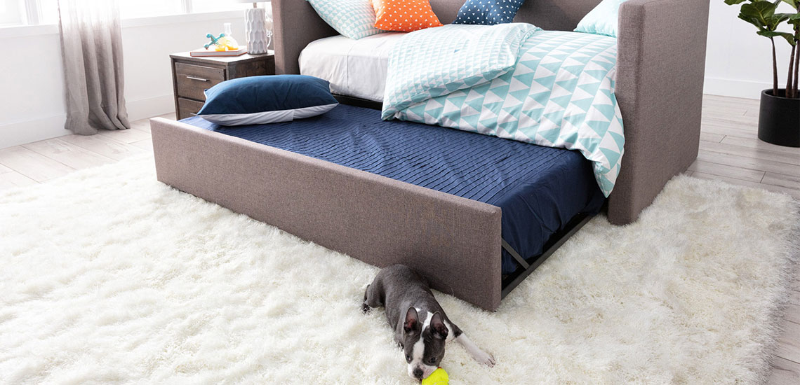 rooms to go kids daybed