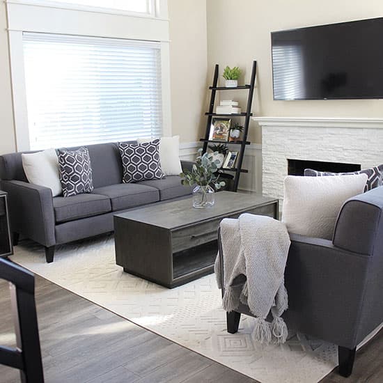 living room design on a budget