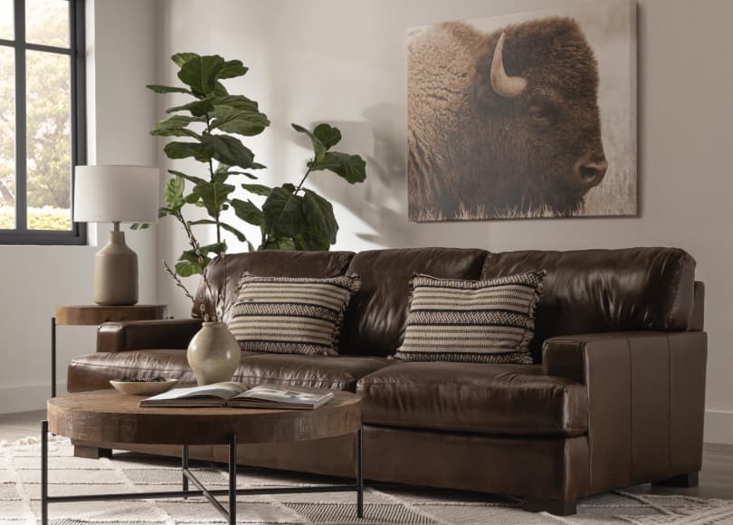 How to Clean a Leather Couch: Safe Tips for Leather Care