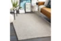 8'x10' Rug-Polyester And Wool Handwoven Woven Ivory - Room