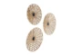 Brown Seagrass Wall Art-Set Of 3 - Side