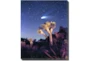 40X50 Joshua Tree Np Haley's Comet With Gallery Wrap Canvas - Signature