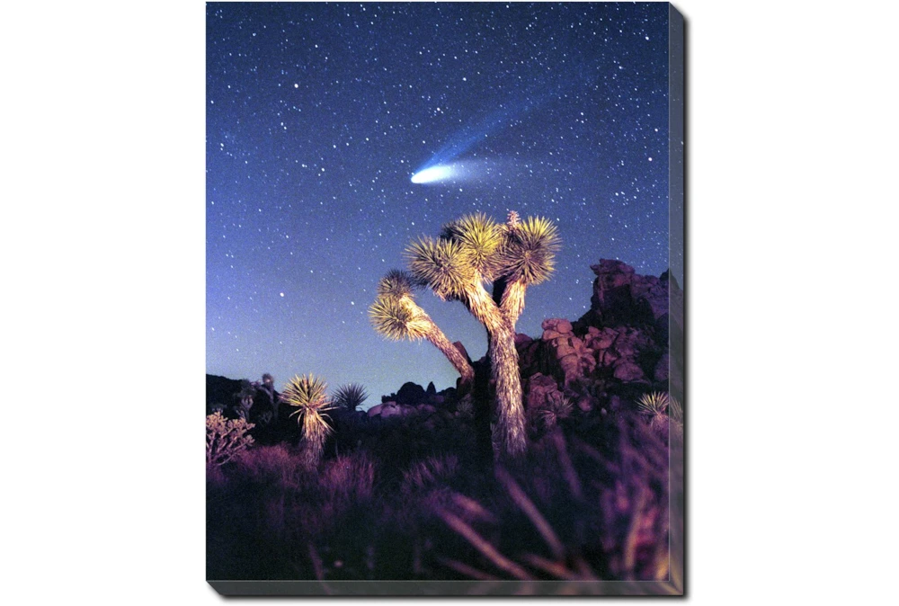 40X50 Joshua Tree Np Haley's Comet With Gallery Wrap Canvas