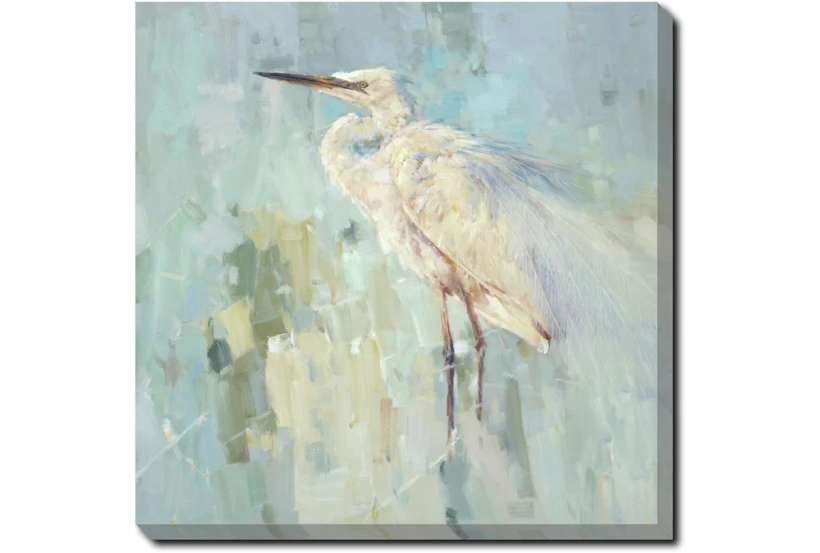 24X24 White Heron With Gallery Wrap Canvas - 360