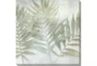 36X36 Fronds III With Gallery Wrap Canvas - Signature