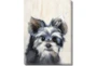 30X40 Yorkie With Gallery Wrap - Signature