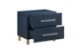 Auggie Navy 24" 2-Drawer Nightstand With USB - Front