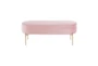48" Modern Light Pink Velvet + Gold Metal Legs Storage Bench - Back