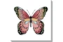 24X24 Vibrant Pink Butterfly Gallery Wrap Canvas - Signature